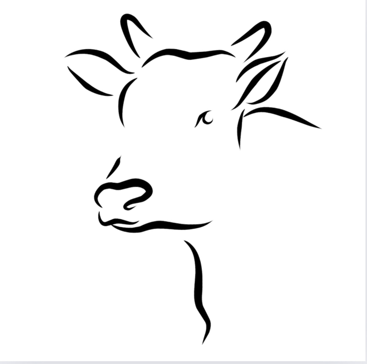 CALF-INATED - FANCY FACE