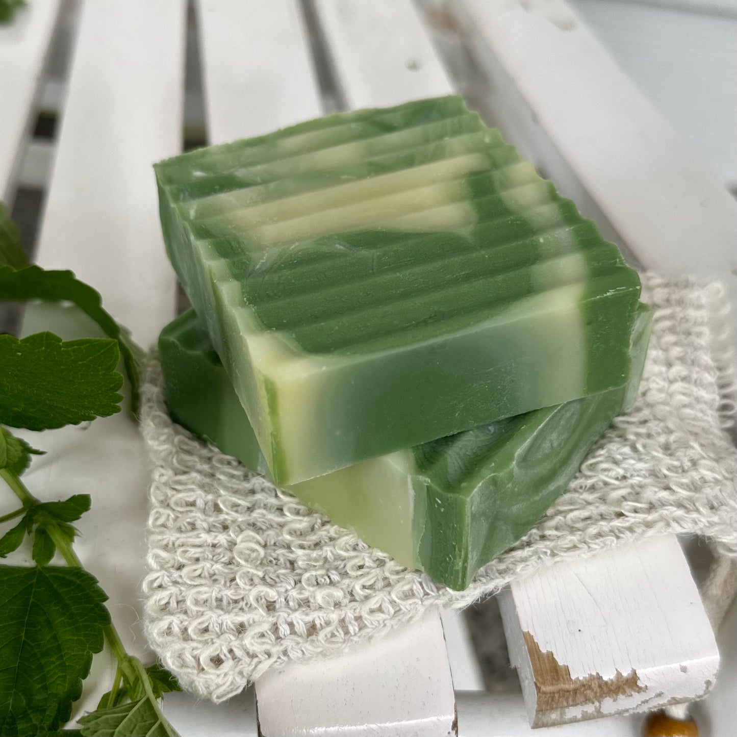 SPEARMINT SHAMPOO/SOAP BARS