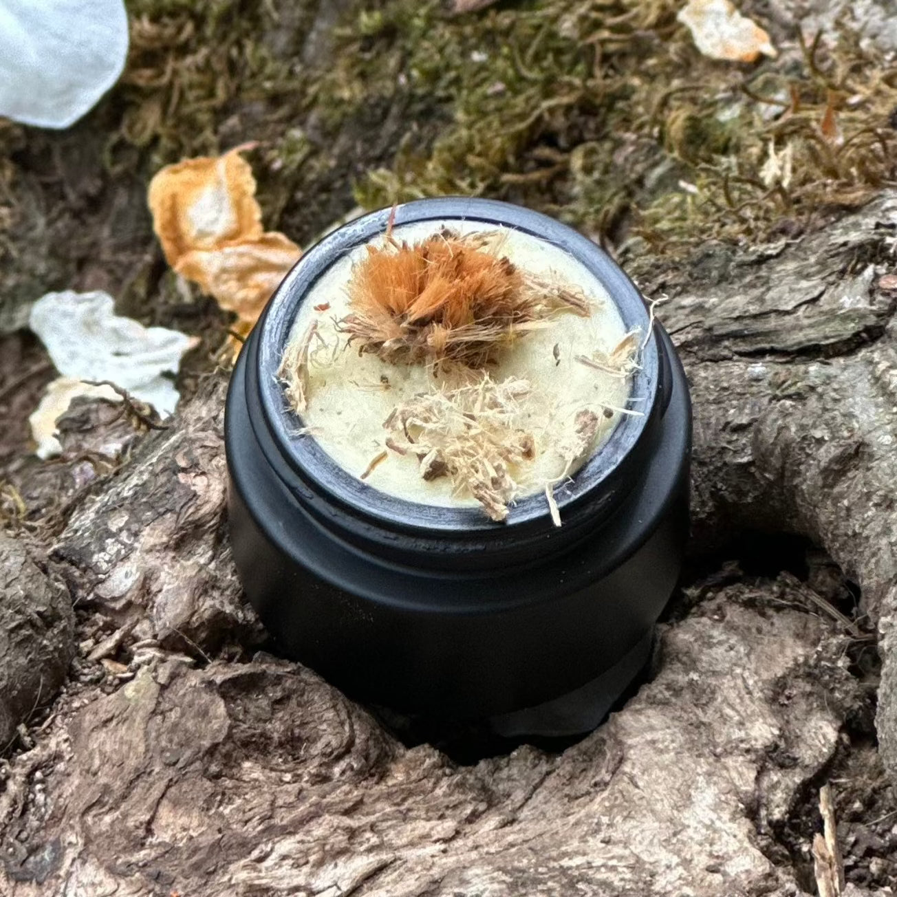 BLACK HERB INFUSION-HEAL/REPAIR