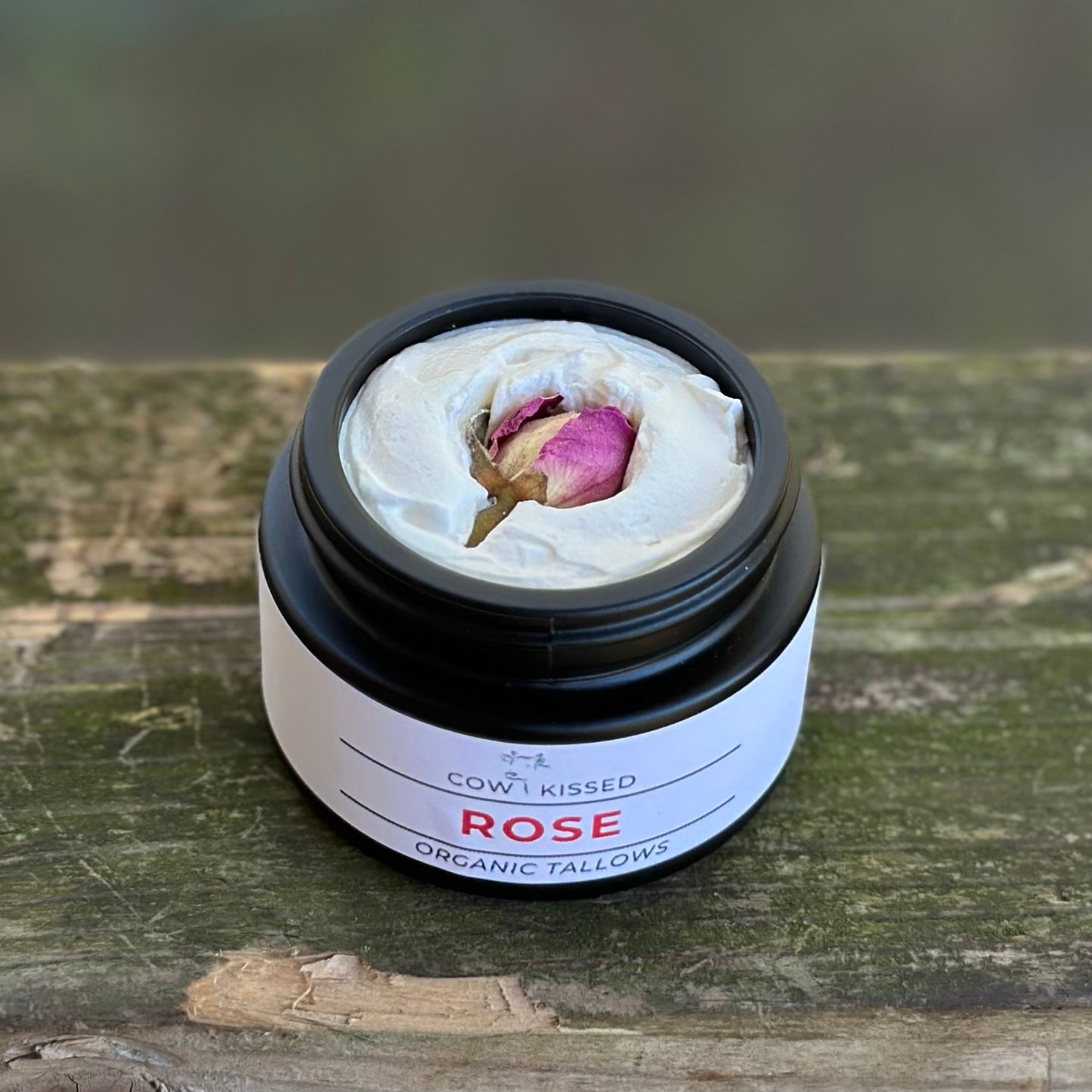 ROSE- FANCY FACE