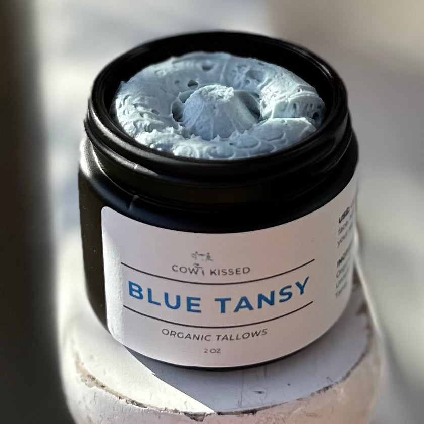 BLUE TANSY- FANCY FACE